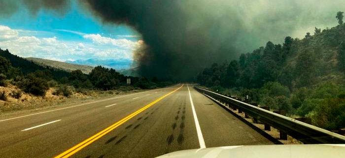 Incendio forestal carretera